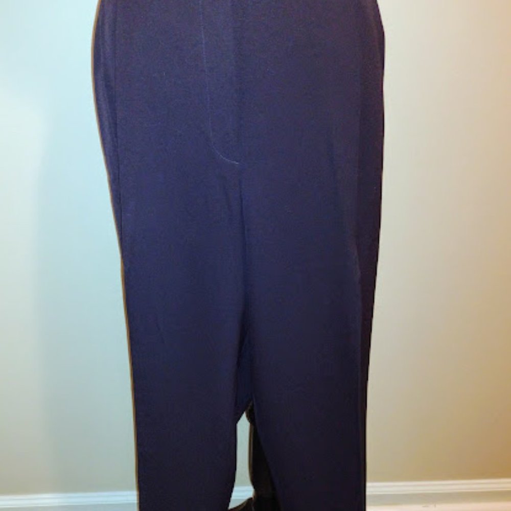 Austin Reed, Pants, Navy Blue, Size-16WP, Dry-Cleaned, 2-Pockets